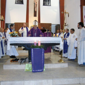 Madre y Maestra. Papa Francisco y León XIV. Javier Trapero. Hermandad Misionera de Nuestra Señora del Sagrado Corazón. MSC