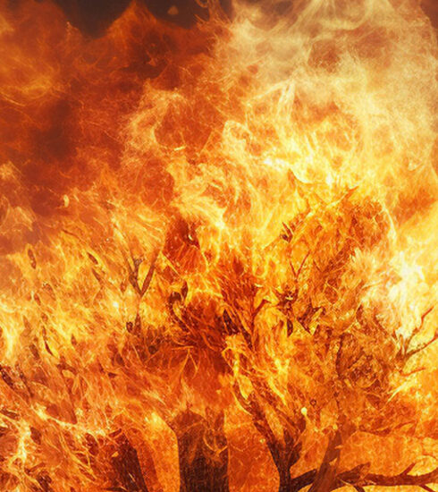 Madre y Maestra. Estampas Bíblicas. Chema Álvarez. Hermandad Misionera de Nuestra Señora del Sagrado Corazón. MSC