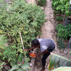 Madre y Maestra. François NDali. Senegal. Hermandad Misionera de Nuestra Señora del Sagrado Corazón. MSC