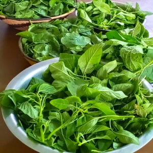 Madre y Maestra. François NDali. Senegal. Hermandad Misionera de Nuestra Señora del Sagrado Corazón. MSC