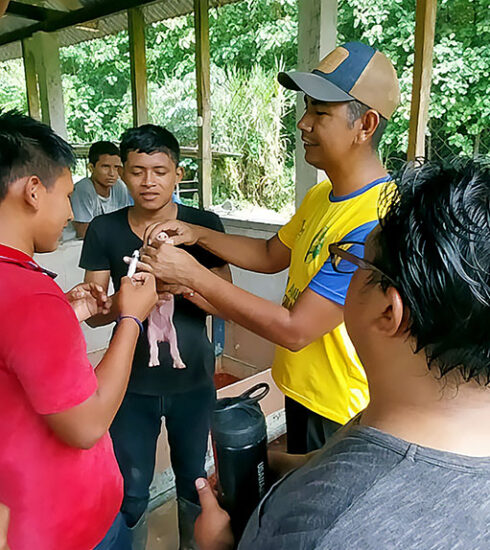 Madre y Maestra. Guatemala. Hermandad misionera de Nuestra Señora del Sagrado Corazón. Jairo Uriel Sevilla MSC