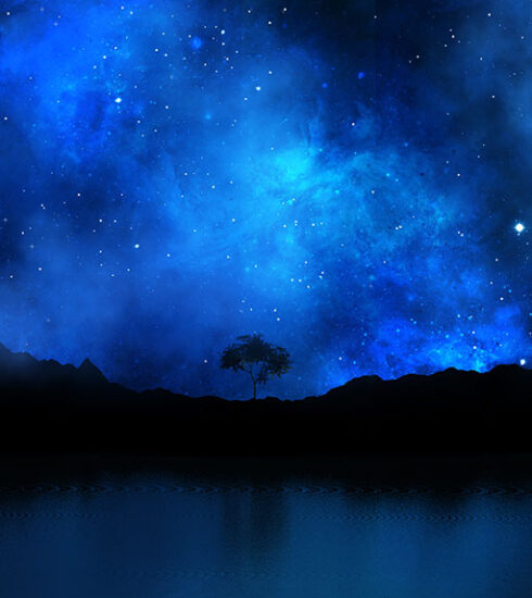 Madre y Maestra. Laicos de la Familia Chevalier. Hermandad Misionera de Nuestra Señora del Sagrado Corazón. MSC